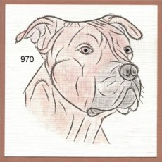 LD 970 - hond