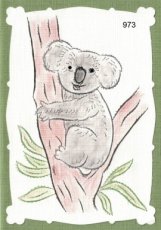LD 973 - koala