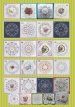 Square Mandalas Collectie