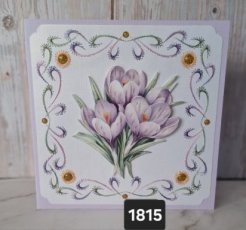 SC 1815