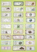 Slimline Cards Collection
